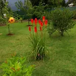 Duras * Gruda